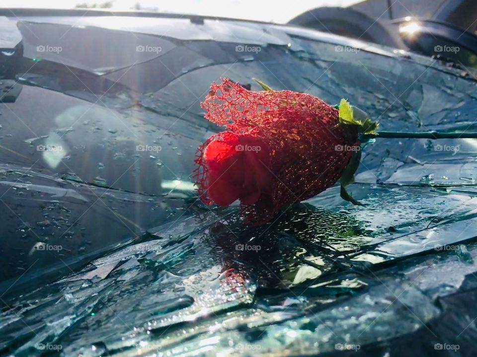 Broken glass windshield with a red rose 🌹