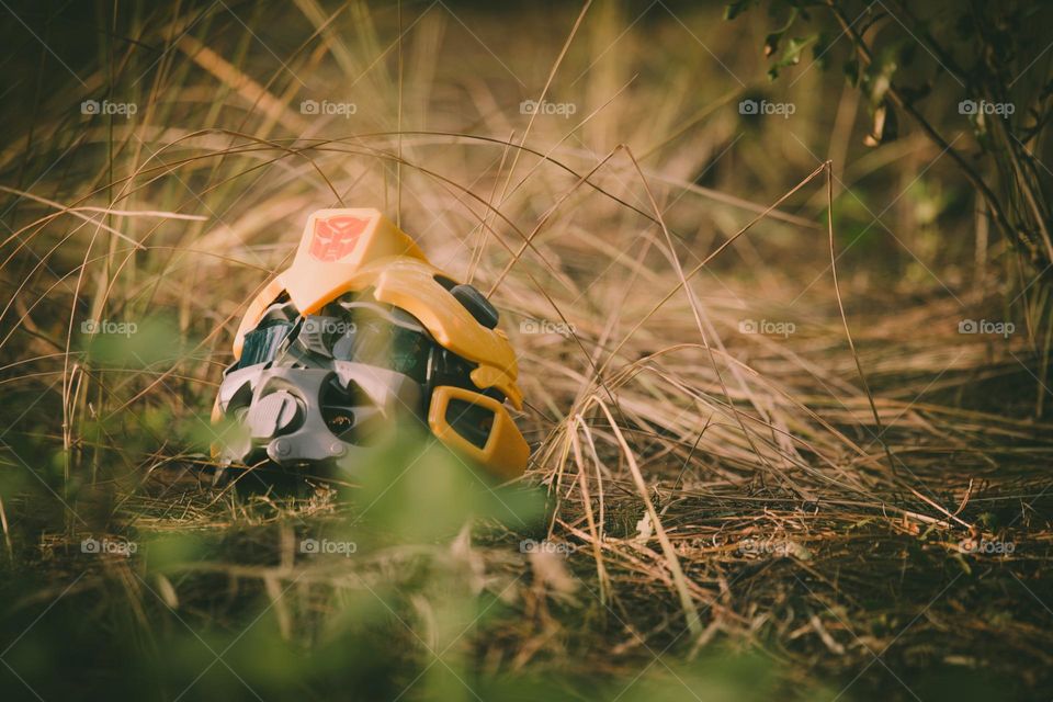 Transformer Helmet left behind in a wooded vegetative area surrounded by pine trees and needles