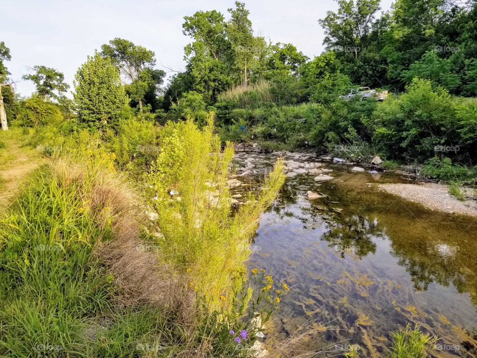Landscape of creek in Killeen community park
