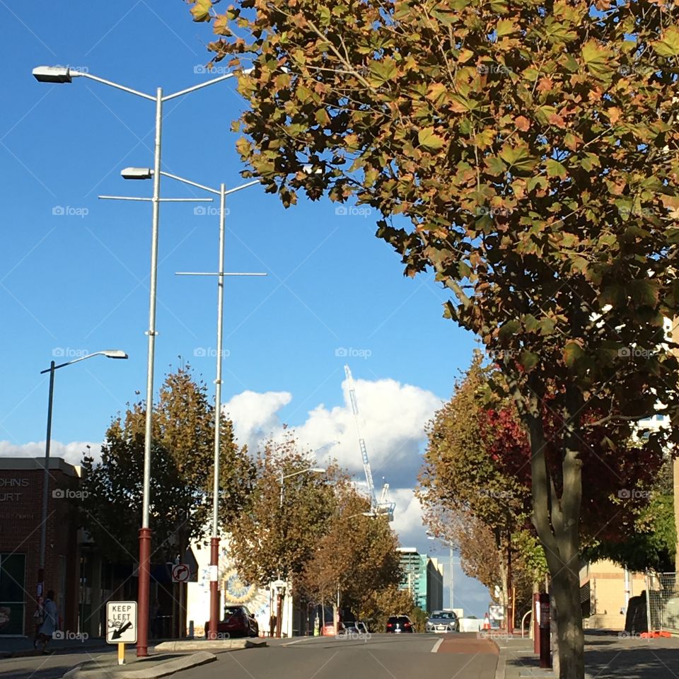 The view of street in the afternoon.