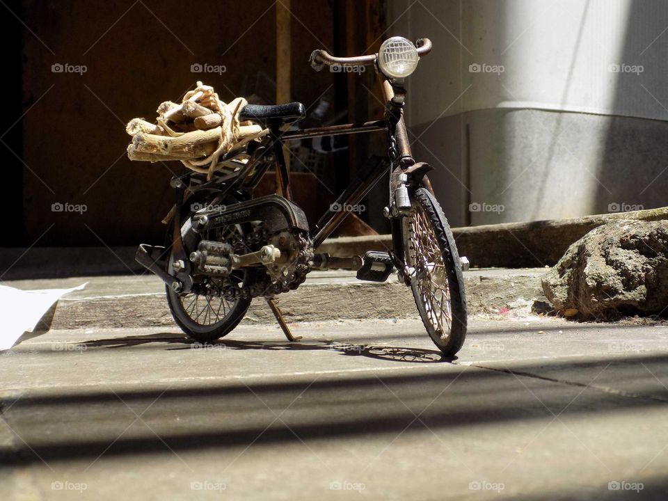 Looking for firewood