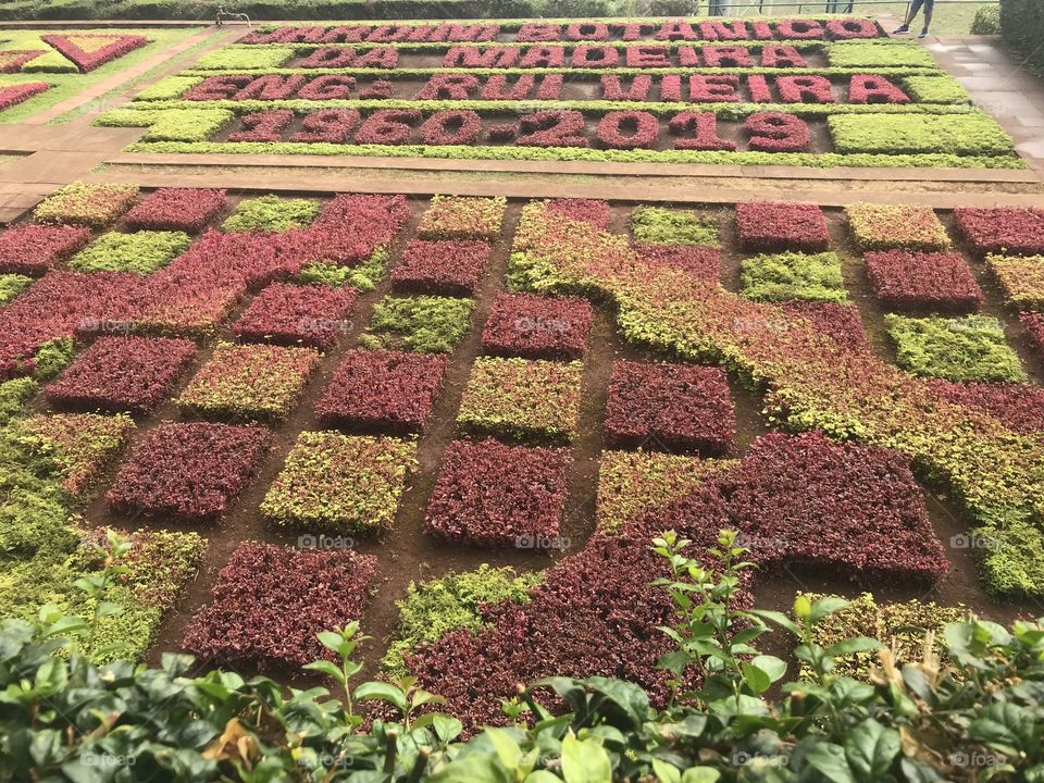 Jardim botânico Funchal 