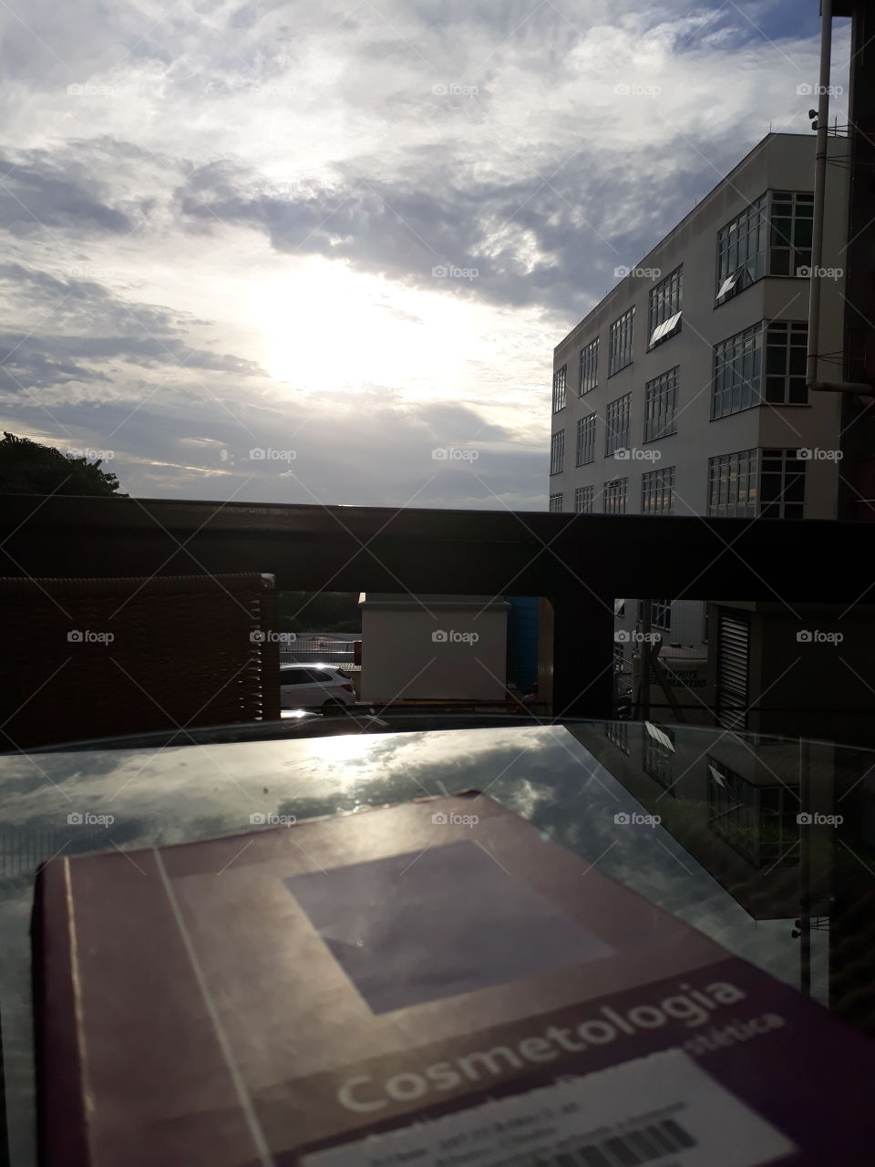 livro e sol