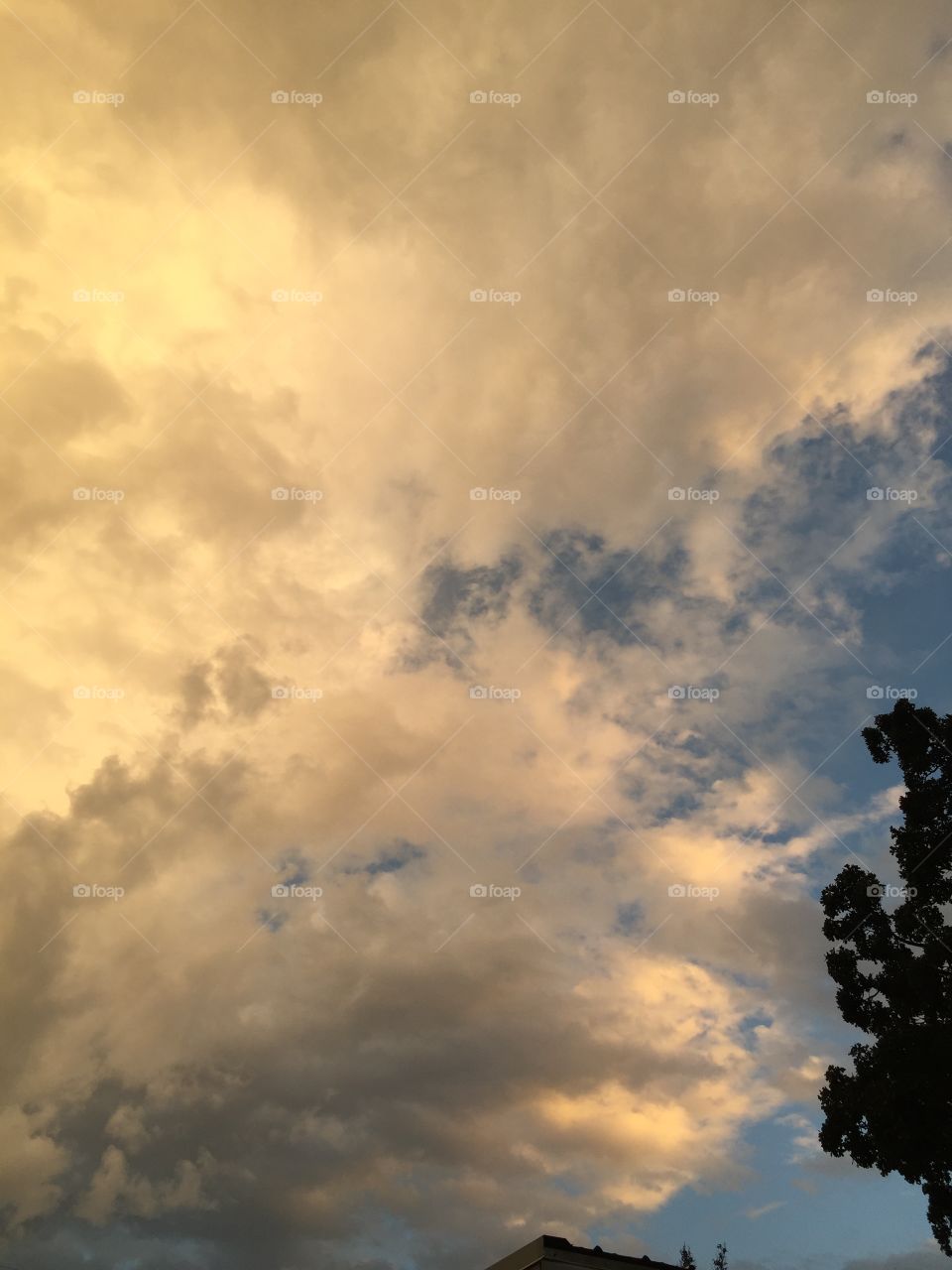 Golden stormy clouds