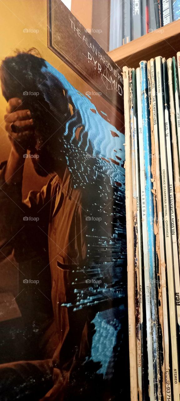 Disco Vinilo The Alan Parsons Proyect