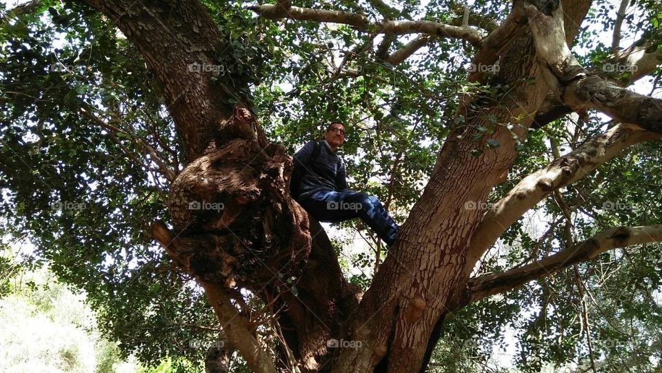 Im sitting on beautiful tree.