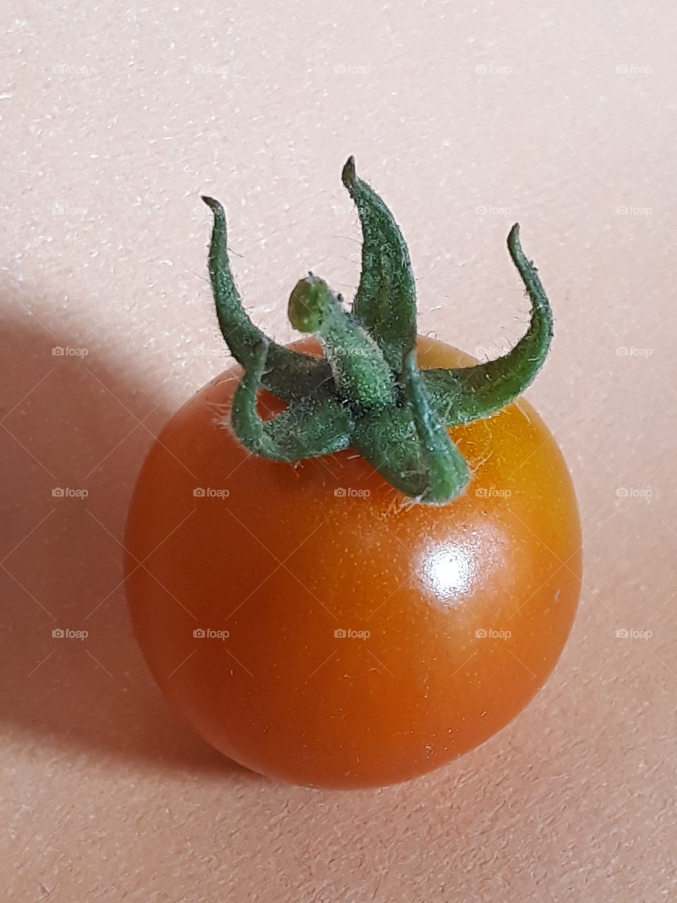 tomato