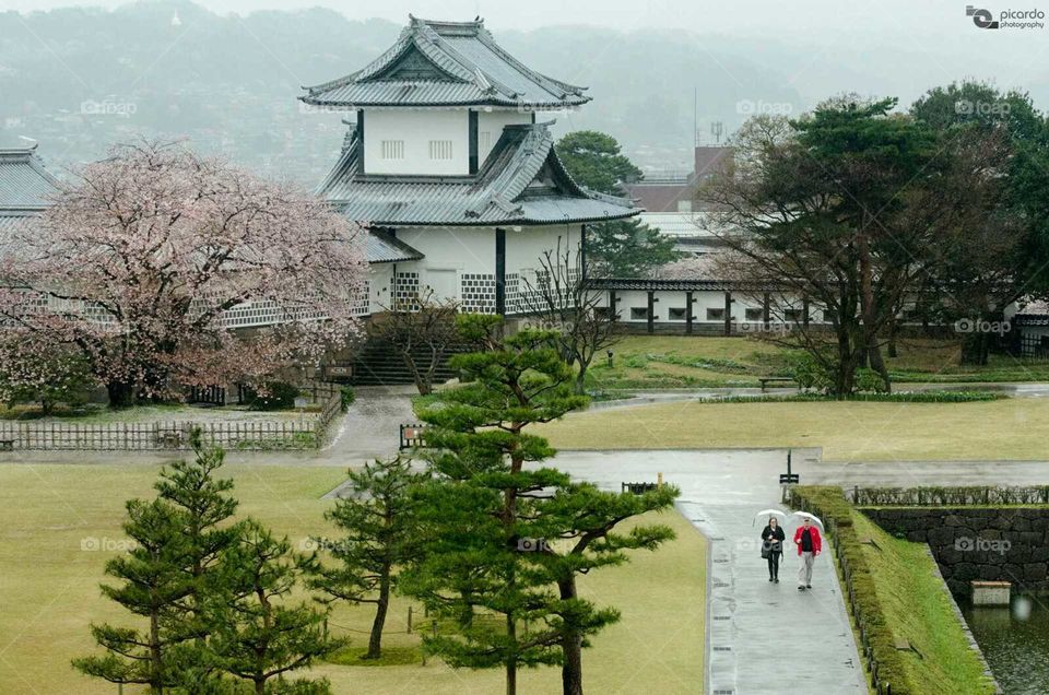 Even though the rain never stopped during our stay at Kanazawa Castle,  it was full of tourists visiting the castle, under the rain.  Kanazawa,  Japan.