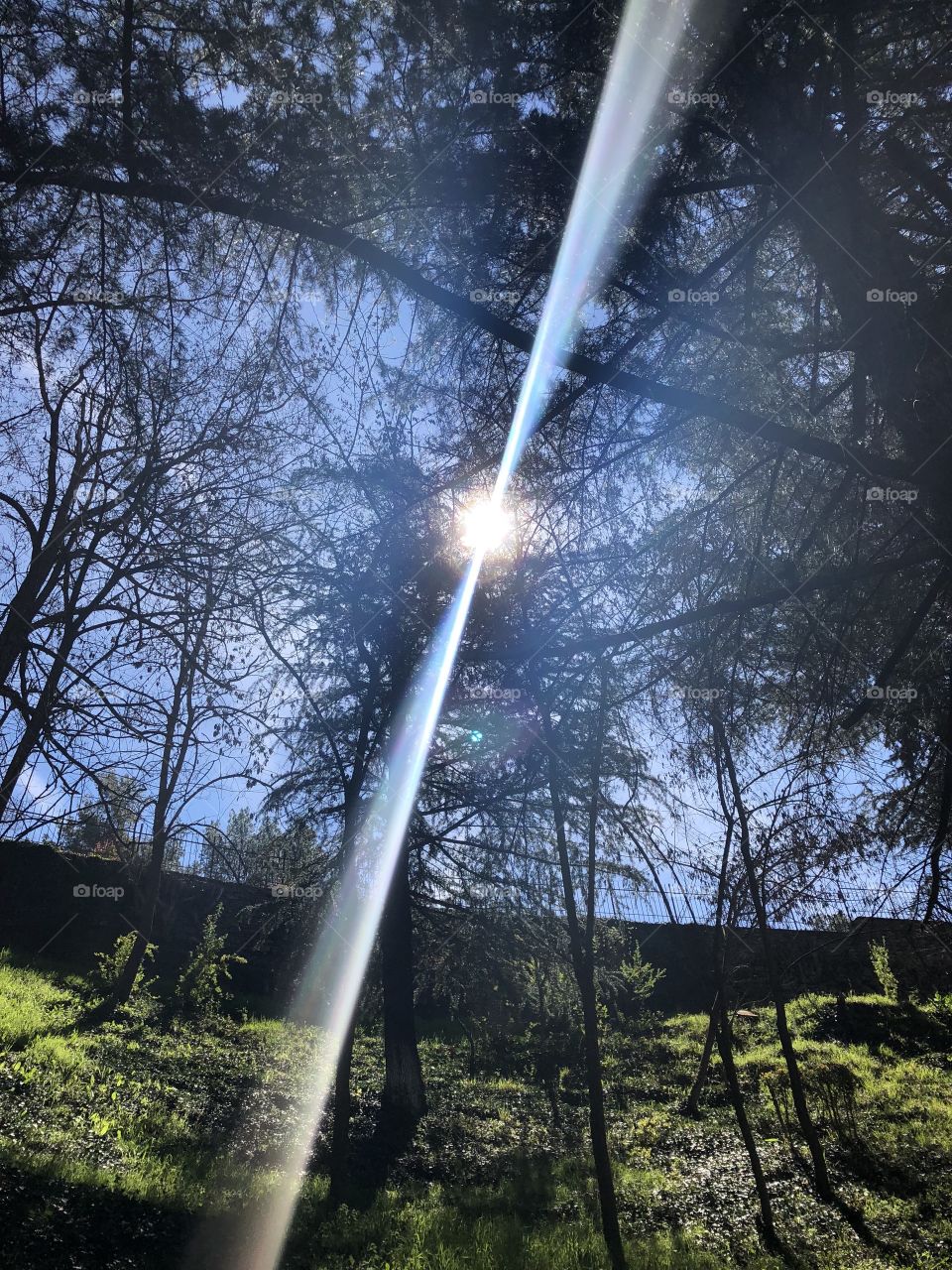 Have a nice day everybody 🌏