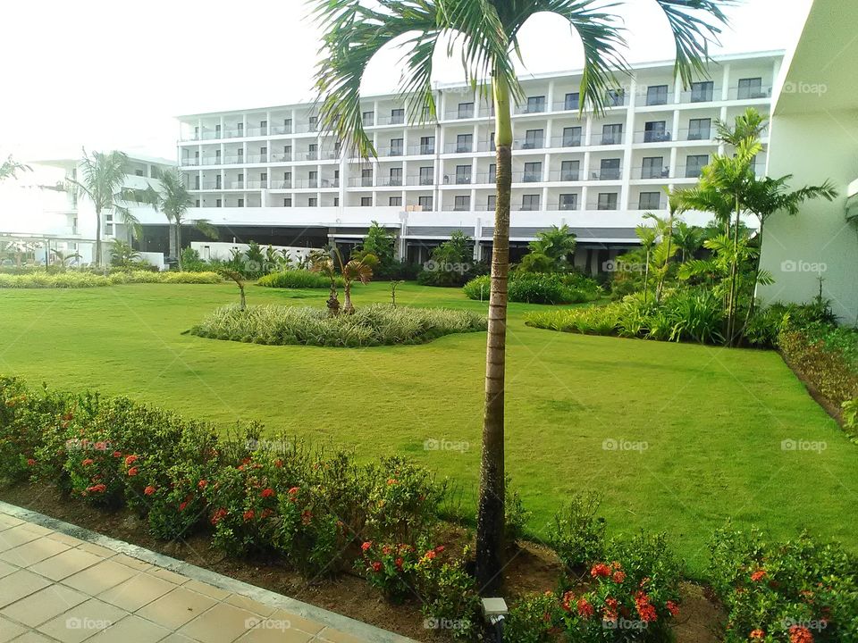 Hotel surrounding