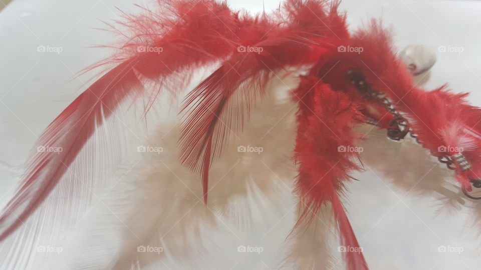 Red Feathers