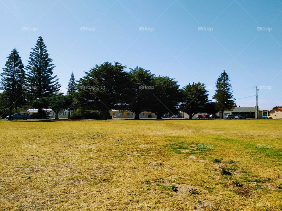 Beautiful day for a family day!