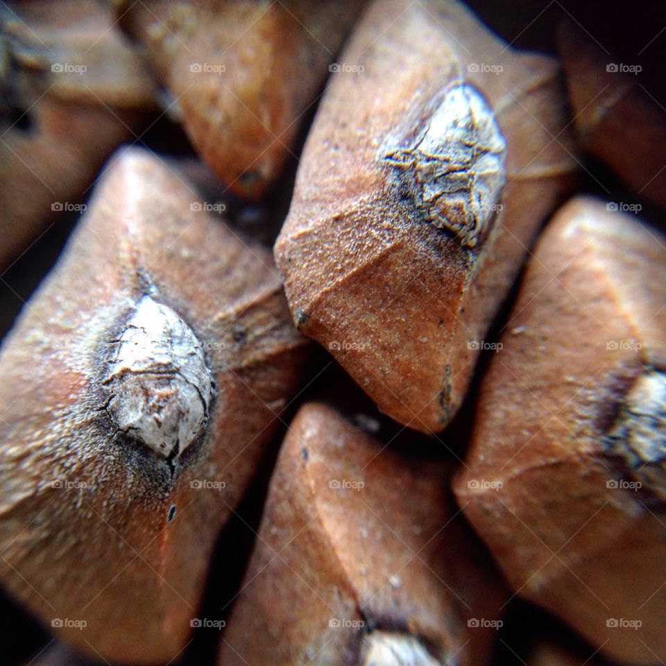 A extreme close up of a brown pine cone sitting on a table which looks like a tip of a pencil!