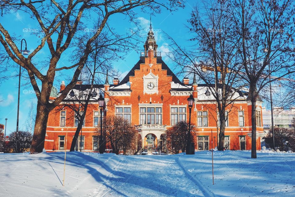 Winter, Tree, Architecture, Building, Snow