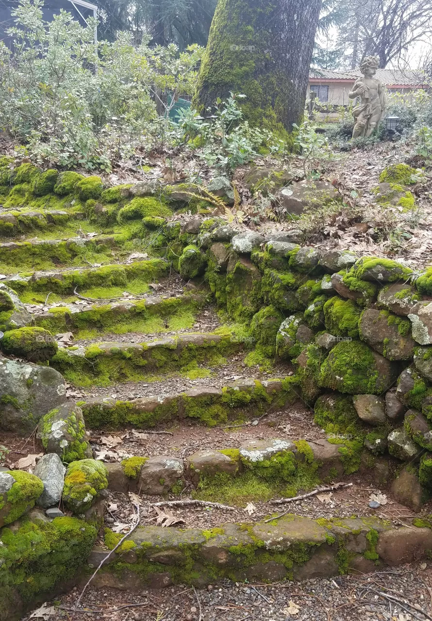 nature