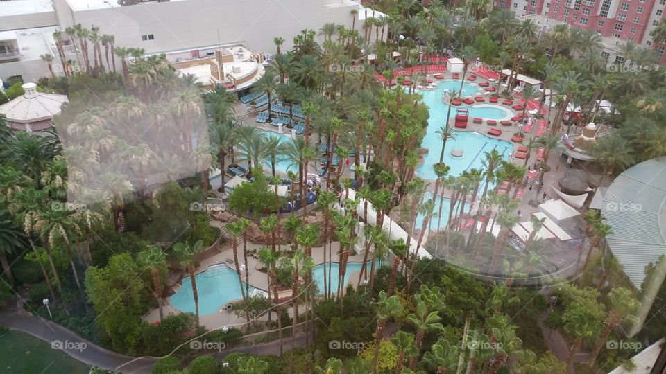 Flamingo pool Las Vegas. view from a room in the Flamingo in Las Vegas. Taken around July 4 2015
