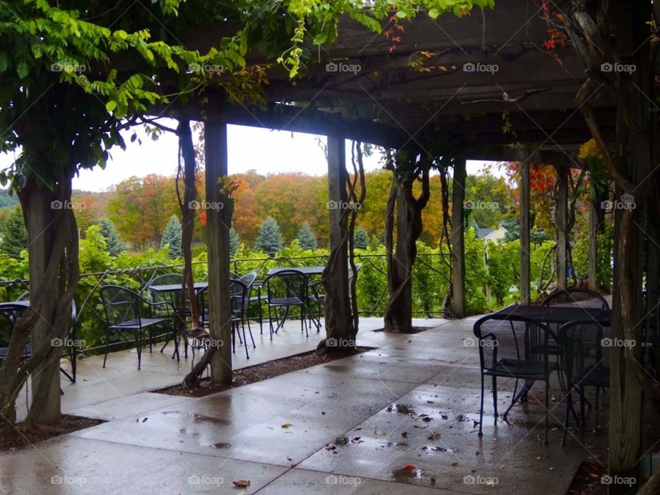 Beautiful view at a vineyard in Traverse City Michigan in the fall.