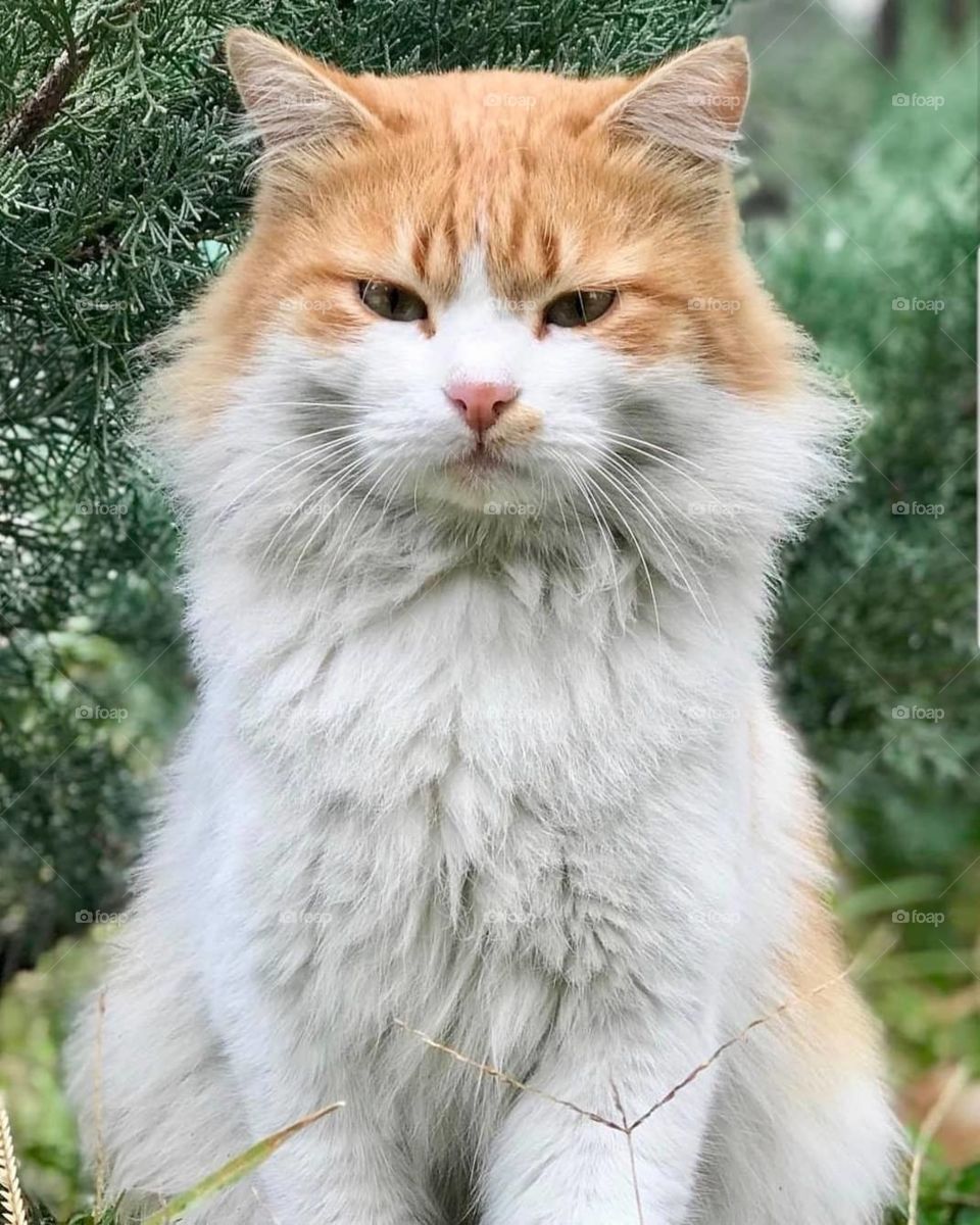 hey you stop there :)