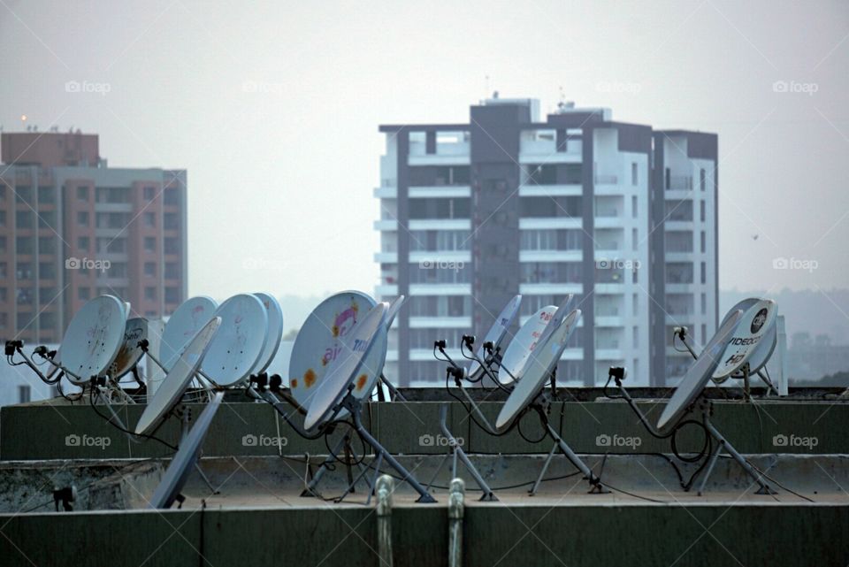 dish antenna