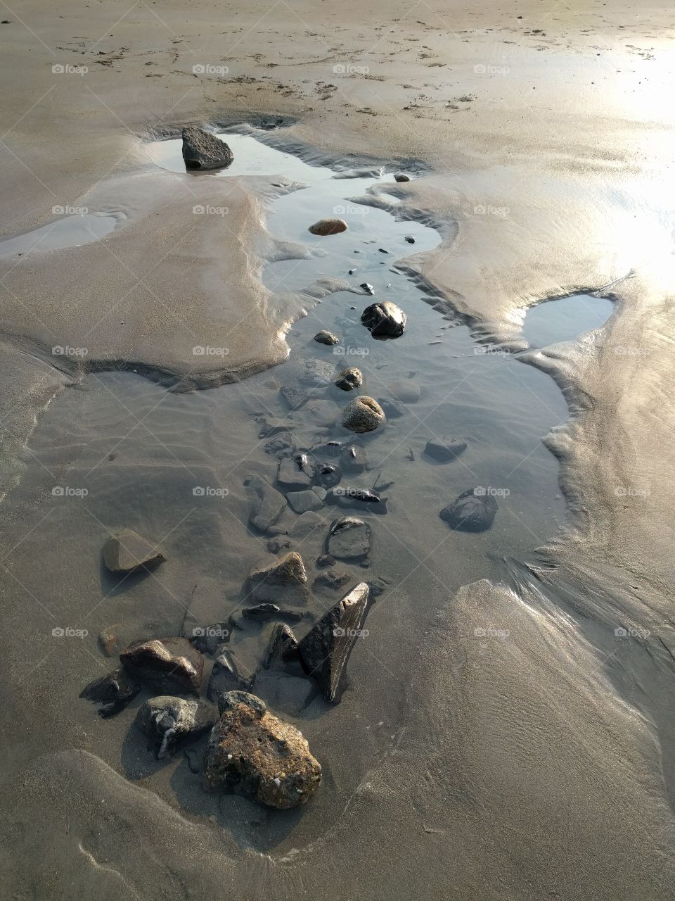 Tide pool and rocks along the Atlantic ocean front.