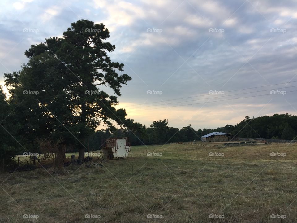 Farm hillside