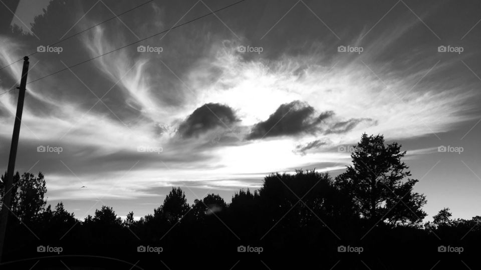 Photo taken at noonday; lower third captured tree line; upper two thirds capture clouds overlaying sun at high rise; there WERE power lines across the top but they were removed during editing; black and white filter increases contrast and detail.