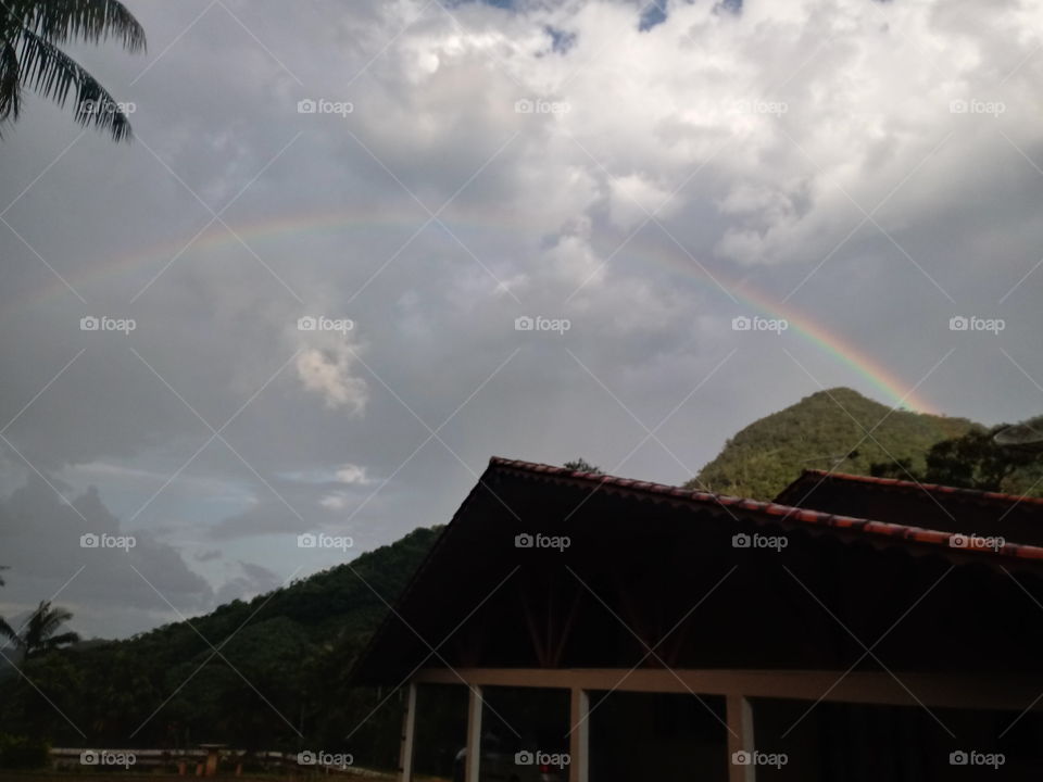 NATURE'S, HOUSE, ENVIRONMENT.