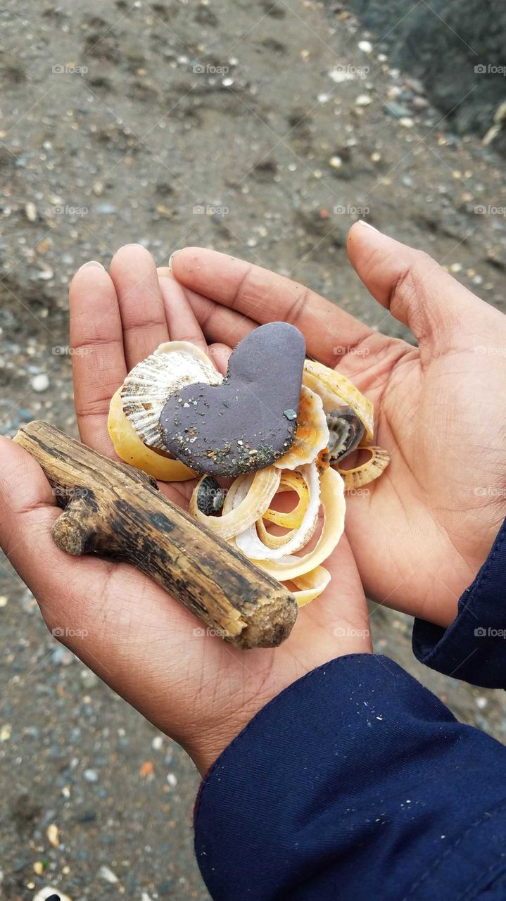 Seashells in hand