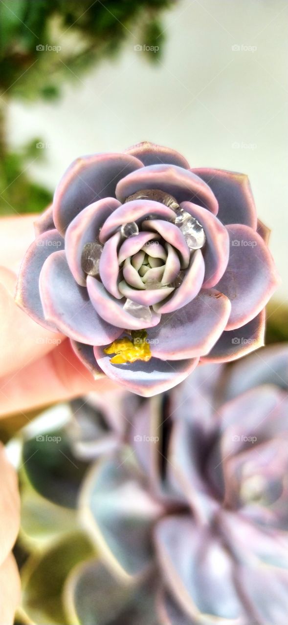 Al sol...la vida es vida.