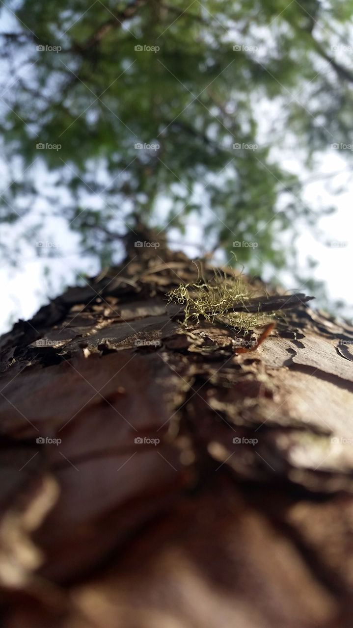 Texture of lives would make you feel live