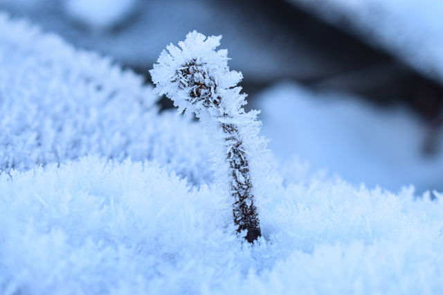 winter