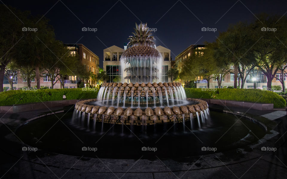 I took this photo of the Pineapple Fountain located in Charleston, South Carolina on a clear night.