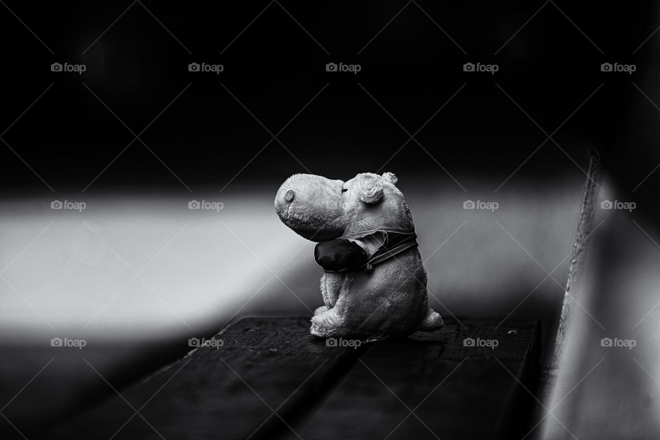 waiting. Was taking a walk with ma dear friend hippo