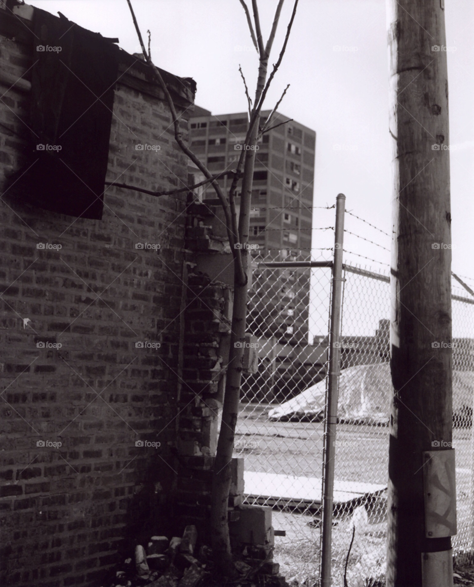 city fence tree buildings by squishypie