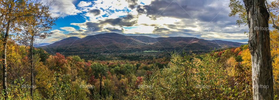 Vermont splendor