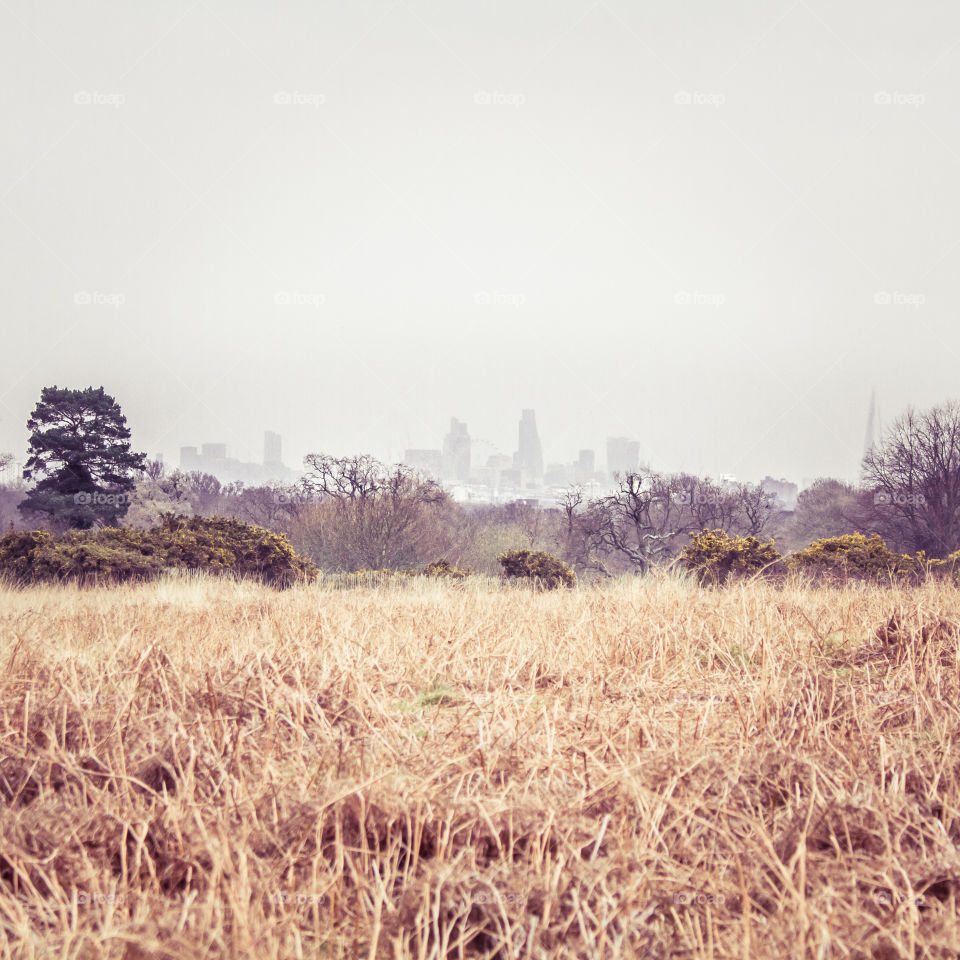 Landscape, Field, Nature, Grass, Rural