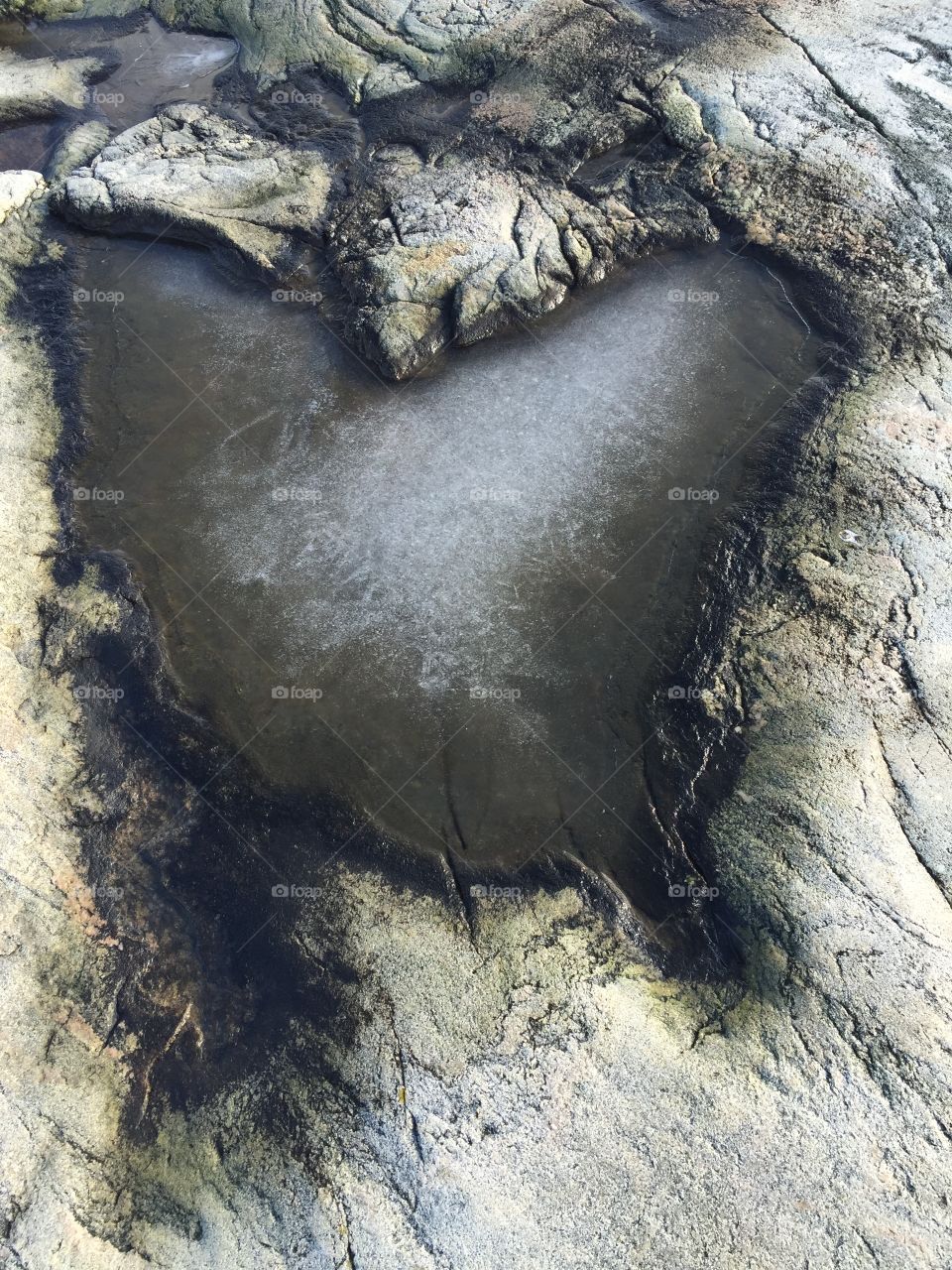 High angle view of rocks at sea