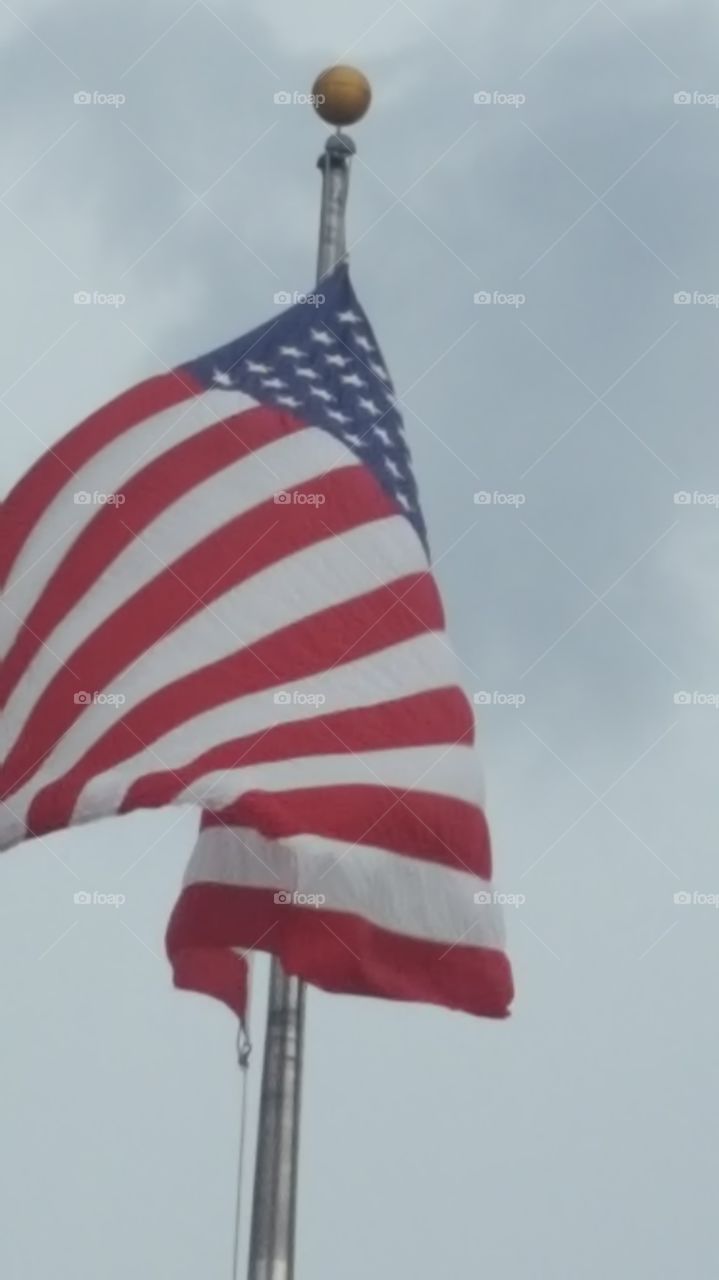 Old Glory in the Wind