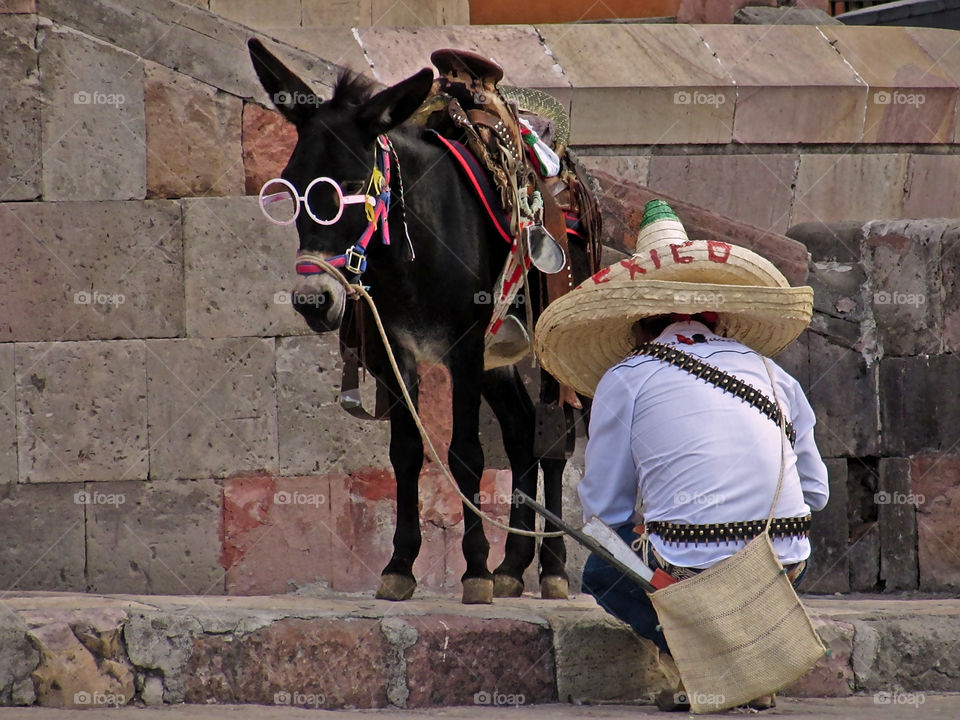 Man and Donkey dressed up for Mexican Revolution festivities in the streets of San Miguel de Allende, Guanajuato, Mexico