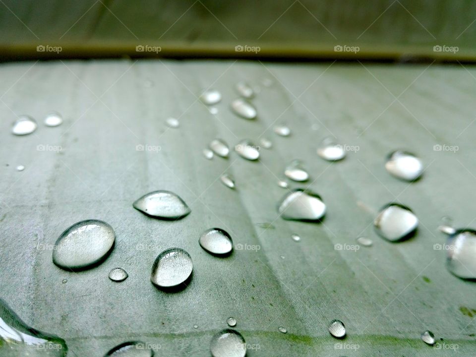 droplets on banana leaf