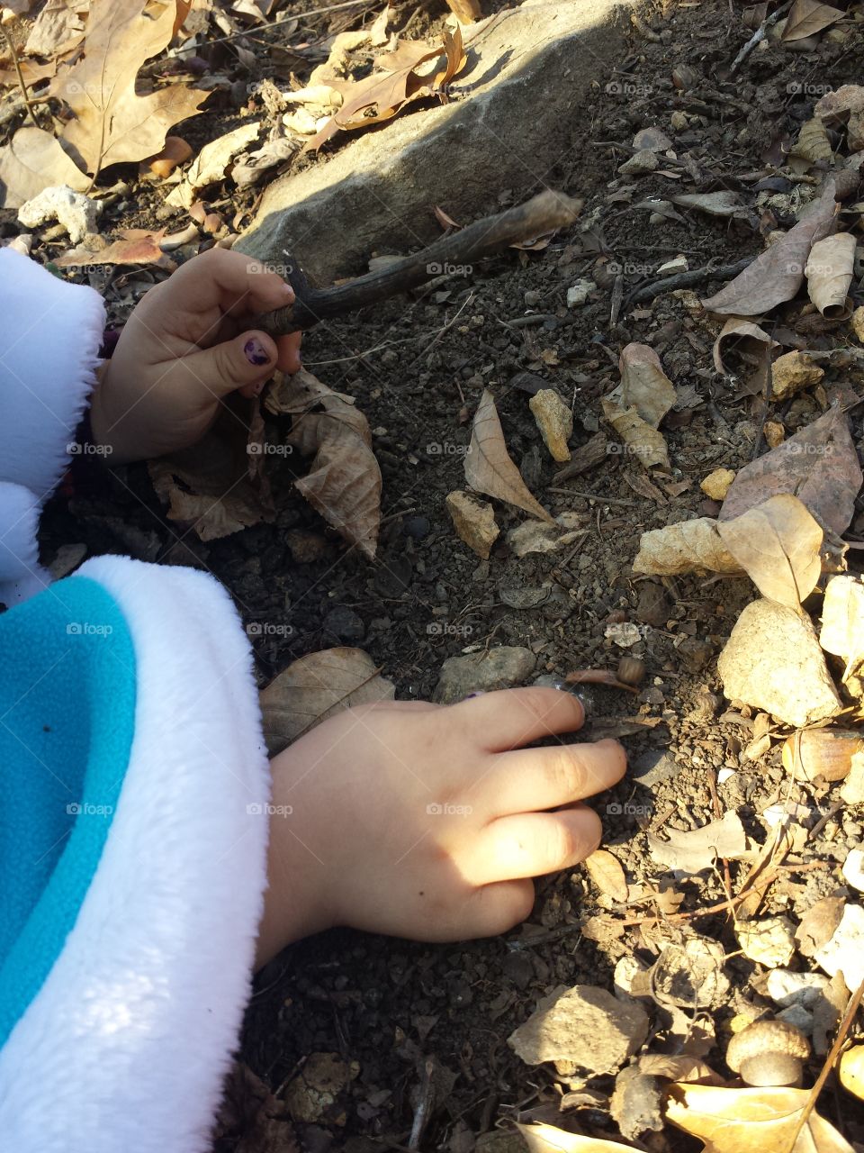 amateur paleontologist