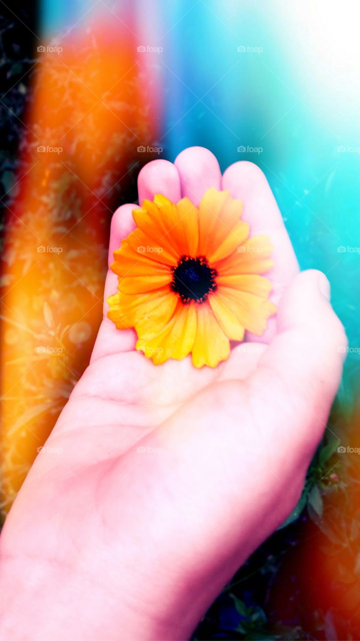 Enhanced Hand Holding a Flower