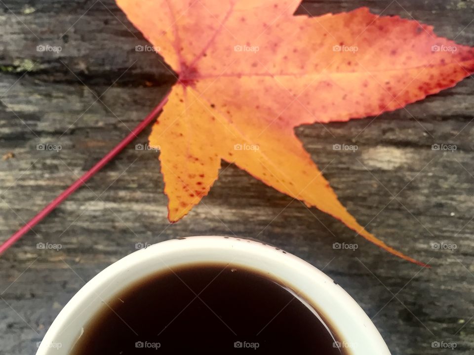 Coffee and leaf