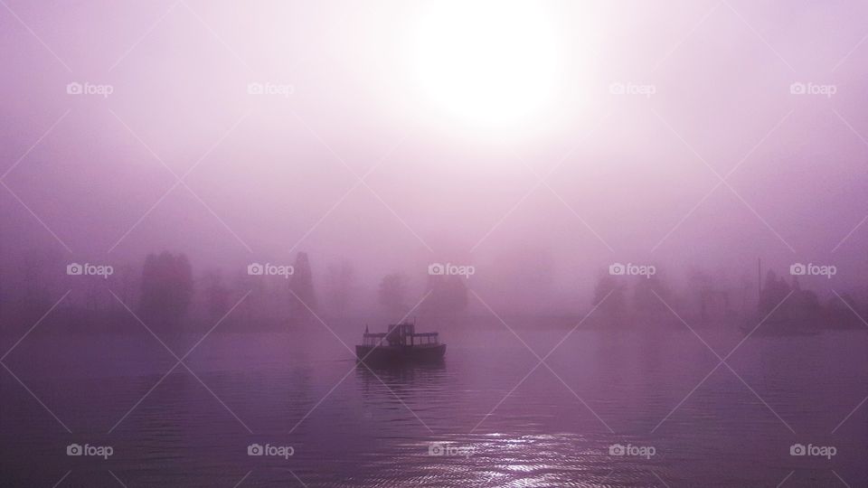fog at the marina