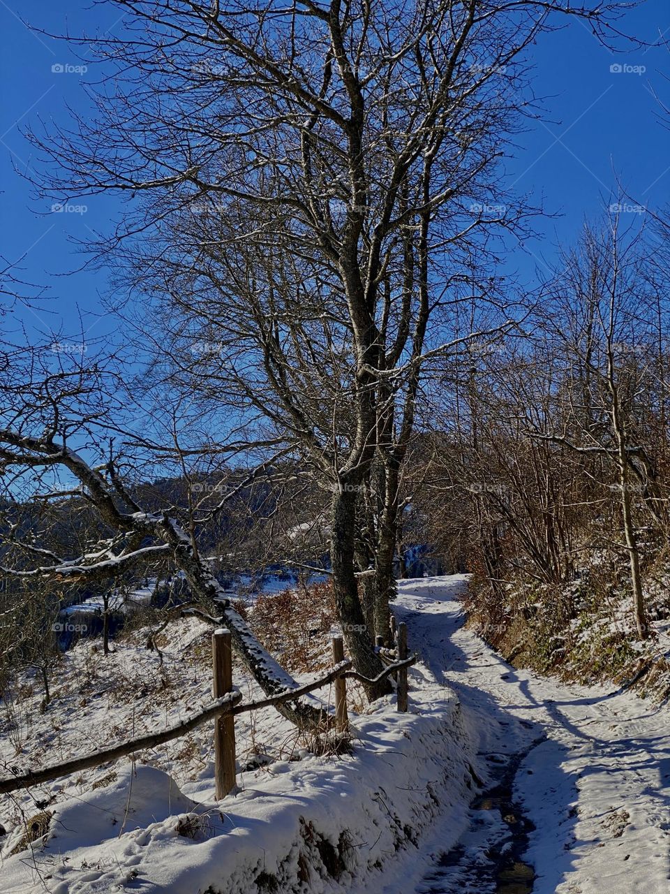 A walk in the winter mountains on a sunny morning. The photo was taken on a phone in Ukraine. 