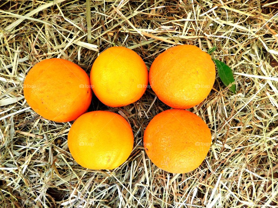 orange fruit