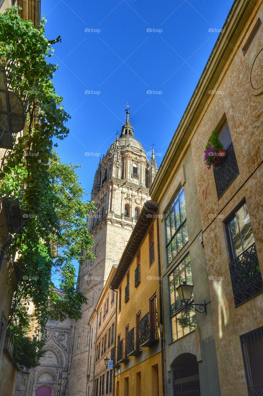 Windows in Salamanca