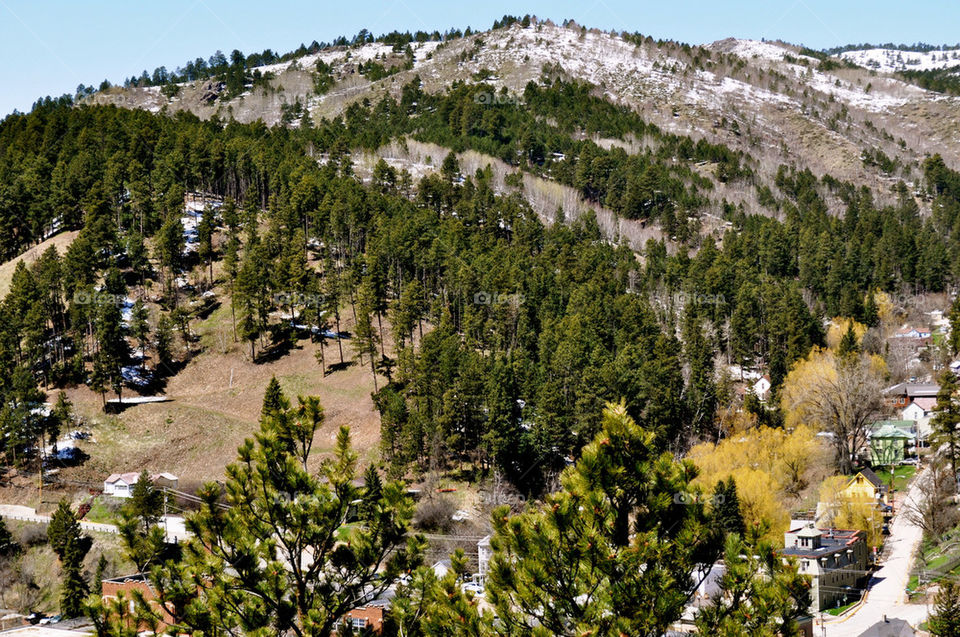 deadwood south dakota trees mountains black hills by refocusphoto