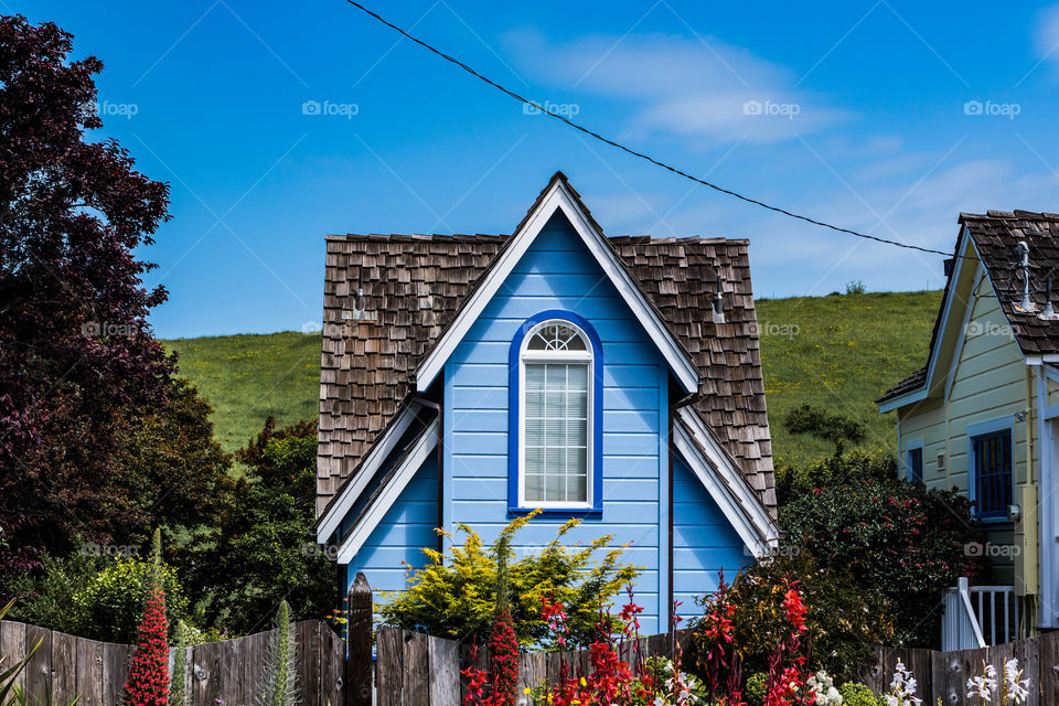 Little Blue House