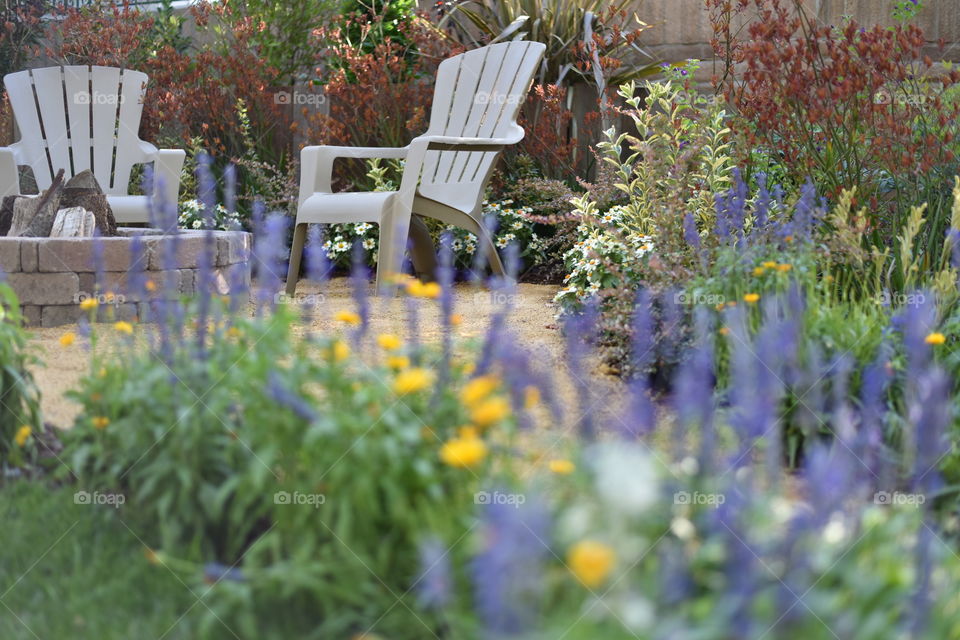 A beautiful backyard